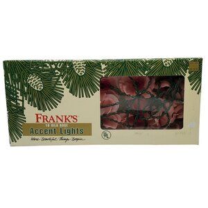 Vintage Franks Nursery & Crafts String Lights Silk Rose Flower Patio Porch Lanai